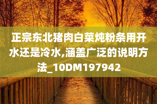 正宗东北猪肉白菜炖粉条用开水还是冷水,涵盖广泛的说明方法_10DM197942