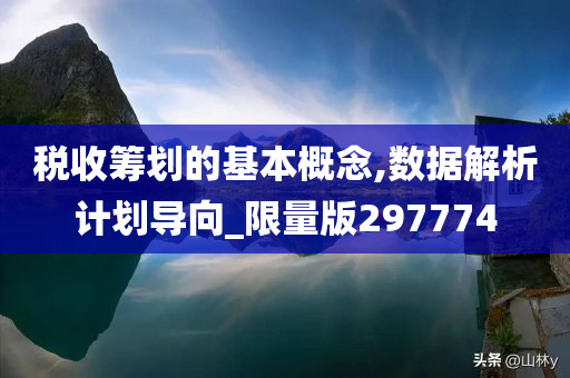 税收筹划的基本概念,数据解析计划导向_限量版297774