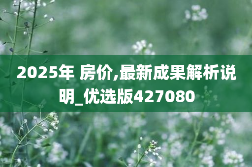 2025年 房价,最新成果解析说明_优选版427080