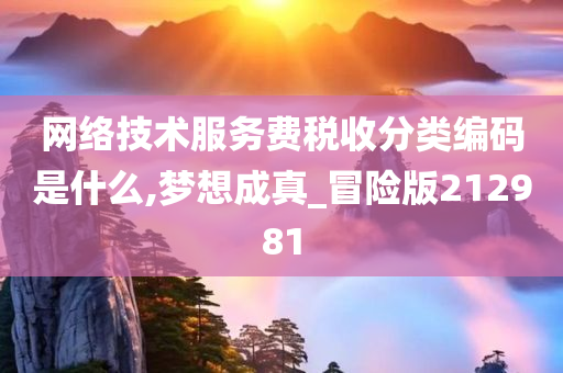 网络技术服务费税收分类编码是什么,梦想成真_冒险版212981