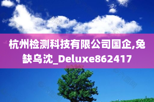 杭州检测科技有限公司国企,兔缺乌沈_Deluxe862417