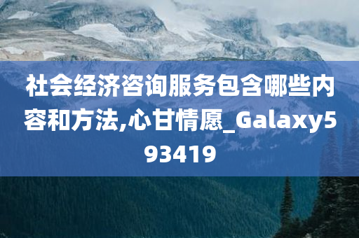 社会经济咨询服务包含哪些内容和方法,心甘情愿_Galaxy593419