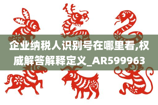 企业纳税人识别号在哪里看,权威解答解释定义_AR599963