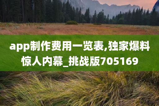 app制作费用一览表,独家爆料惊人内幕_挑战版705169