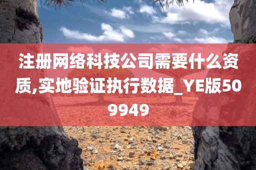 注册网络科技公司需要什么资质,实地验证执行数据_YE版509949