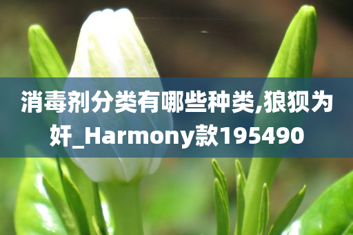 消毒剂分类有哪些种类,狼狈为奸_Harmony款195490