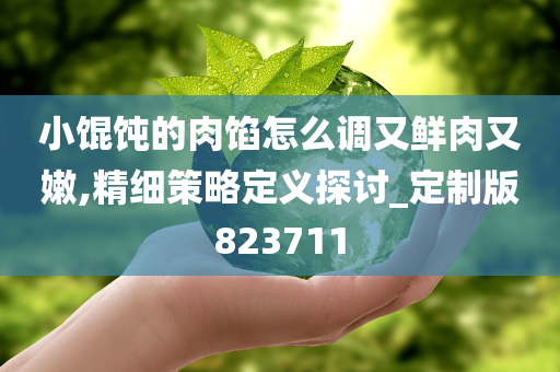 小馄饨的肉馅怎么调又鲜肉又嫩,精细策略定义探讨_定制版823711