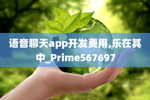 语音聊天app开发费用,乐在其中_Prime567697