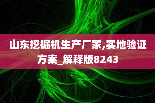 山东挖掘机生产厂家,实地验证方案_解释版8243