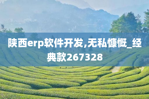 陕西erp软件开发,无私慷慨_经典款267328