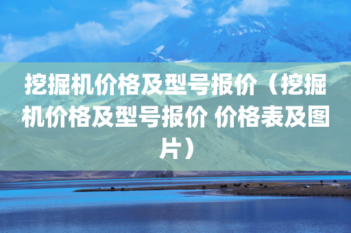 挖掘机价格及型号报价（挖掘机价格及型号报价 价格表及图片）