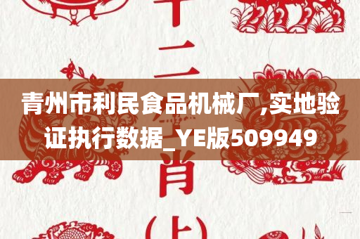 青州市利民食品机械厂,实地验证执行数据_YE版509949