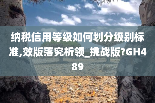 纳税信用等级如何划分级别标准,效版落究析领_挑战版?GH489