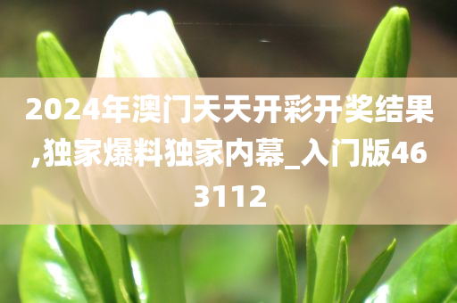 2024年澳门天天开彩开奖结果,独家爆料独家内幕_入门版463112