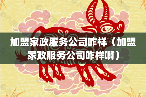 加盟家政服务公司咋样（加盟家政服务公司咋样啊）