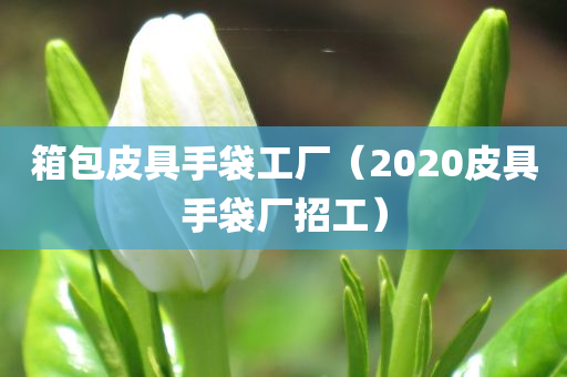 箱包皮具手袋工厂（2020皮具手袋厂招工）