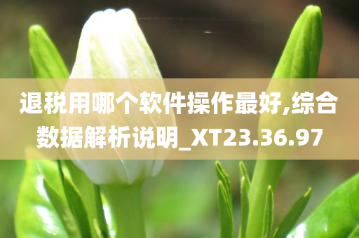 退税用哪个软件操作最好,综合数据解析说明_XT23.36.97