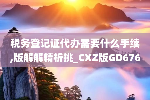 税务登记证代办需要什么手续,版解解精析挑_CXZ版GD676