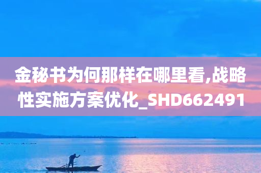 金秘书为何那样在哪里看,战略性实施方案优化_SHD662491