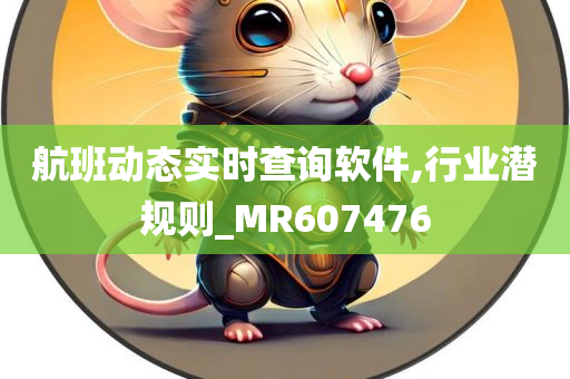 航班动态实时查询软件,行业潜规则_MR607476