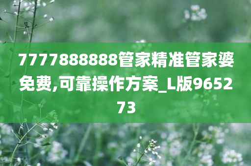 7777888888管家精准管家婆免费,可靠操作方案_L版965273