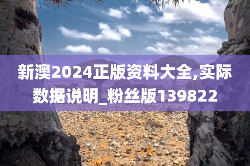 新澳2024正版资料大全,实际数据说明_粉丝版139822