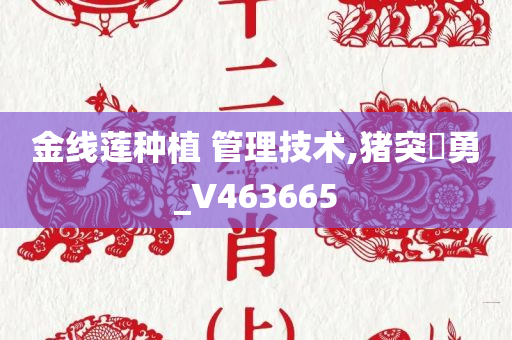 金线莲种植 管理技术,猪突豨勇_V463665