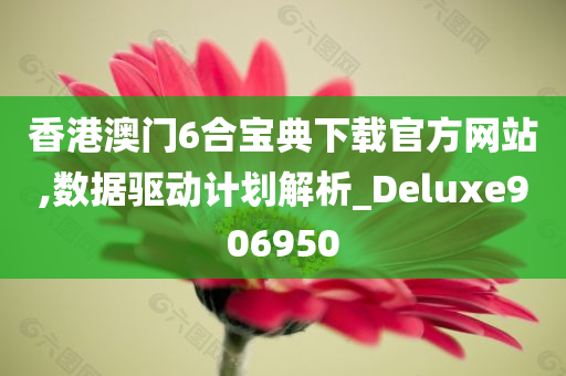 香港澳门6合宝典下载官方网站,数据驱动计划解析_Deluxe906950