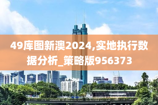 49库图新澳2024,实地执行数据分析_策略版956373