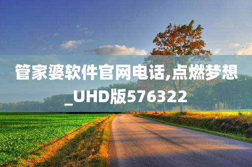 管家婆软件官网电话,点燃梦想_UHD版576322