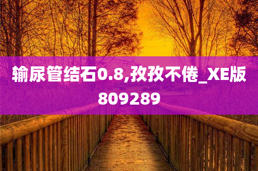 输尿管结石0.8,孜孜不倦_XE版809289