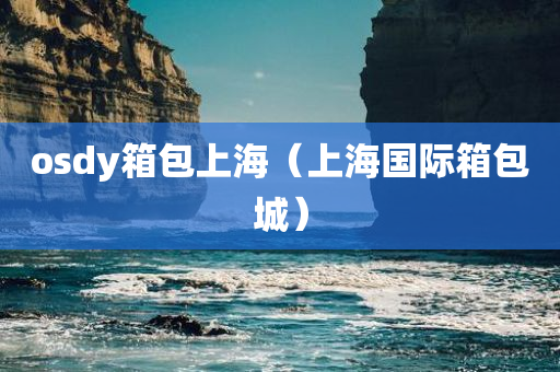 osdy箱包上海（上海国际箱包城）