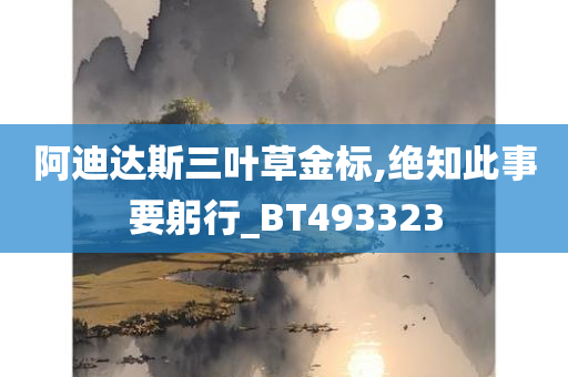 阿迪达斯三叶草金标,绝知此事要躬行_BT493323