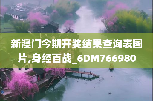 新澳门今期开奖结果查询表图片,身经百战_6DM766980