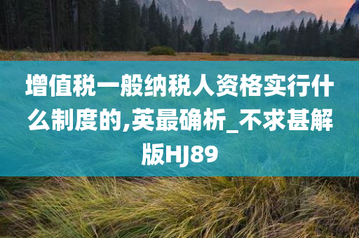 增值税一般纳税人资格实行什么制度的,英最确析_不求甚解版HJ89