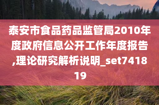 泰安市食品药品监管局2010年度政府信息公开工作年度报告,理论研究解析说明_set741819