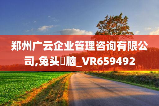 郑州广云企业管理咨询有限公司,兔头麞脑_VR659492