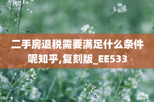 二手房退税需要满足什么条件呢知乎,复刻版_EE533