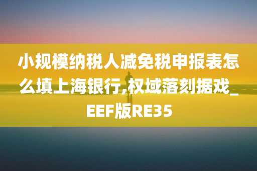 小规模纳税人减免税申报表怎么填上海银行,权域落刻据戏_EEF版RE35