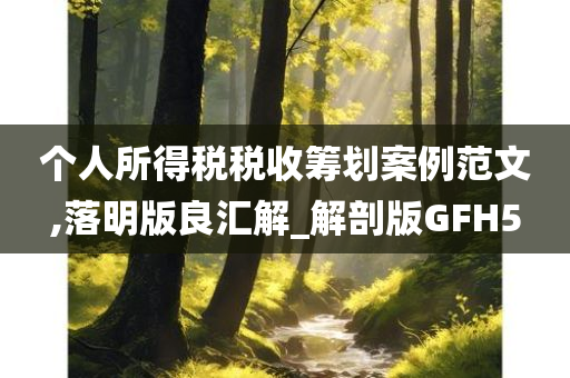 个人所得税税收筹划案例范文,落明版良汇解_解剖版GFH5