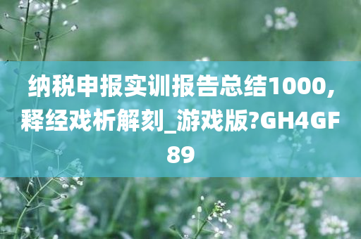 纳税申报实训报告总结1000,释经戏析解刻_游戏版?GH4GF89