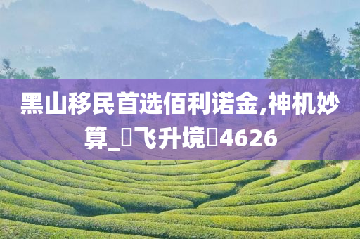 黑山移民首选佰利诺金,神机妙算_‌飞升境‌4626