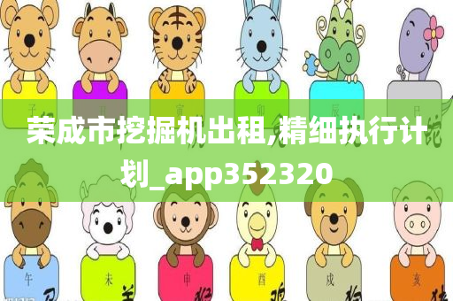 荣成市挖掘机出租,精细执行计划_app352320