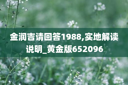 金润吉请回答1988,实地解读说明_黄金版652096