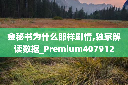 金秘书为什么那样剧情,独家解读数据_Premium407912