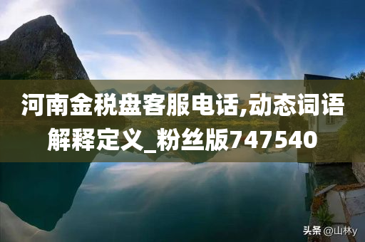 河南金税盘客服电话,动态词语解释定义_粉丝版747540