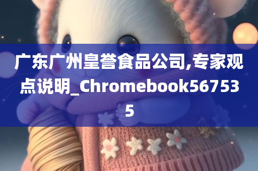 广东广州皇誉食品公司,专家观点说明_Chromebook567535