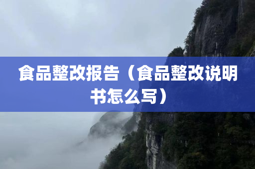 食品整改报告（食品整改说明书怎么写）