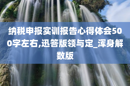 纳税申报实训报告心得体会500字左右,迅答版领与定_浑身解数版