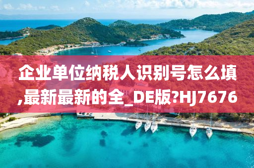 企业单位纳税人识别号怎么填,最新最新的全_DE版?HJ7676